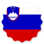 Slovenia Badge Seal