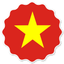 Vietnam Badge Seal