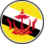 Brunei Circle Badge