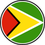 Guyana Circle Badge