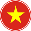 Vietnam Circle Badge