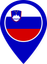 Slovenia Color Pin