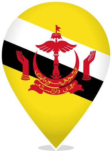 Brunei Teardrop Pin