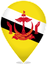 Brunei Teardrop Pin