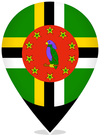 Dominica Teardrop Pin