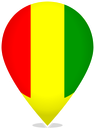 Guinea Teardrop Pin