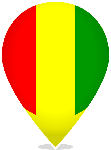 Guinea Teardrop Pin