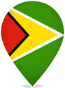 Guyana Teardrop Pin