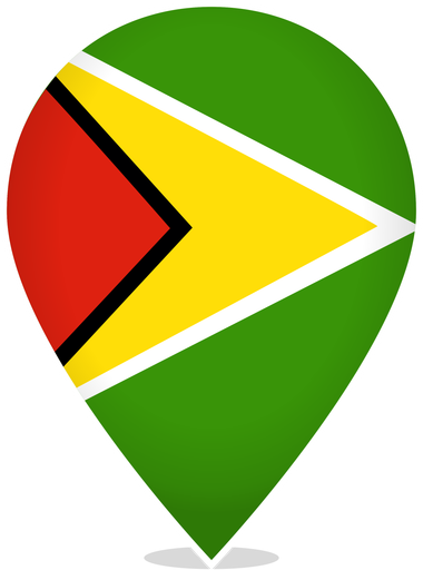 Guyana Teardrop Pin