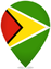 Guyana Teardrop Pin