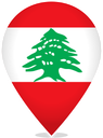 Lebanon Teardrop Pin