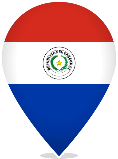 Paraguay Teardrop Pin