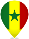 Senegal Teardrop Pin