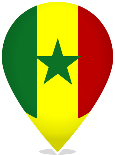 Senegal Teardrop Pin