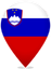 Slovenia Teardrop Pin