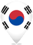 South Korea Teardrop Pin