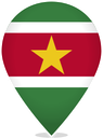 Suriname Teardrop Pin