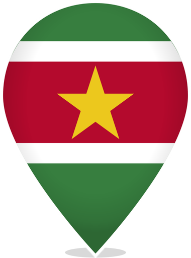 Suriname Teardrop Pin
