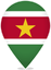 Suriname Teardrop Pin