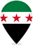 Syria Teardrop Pin