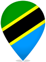 Tanzania Teardrop Pin