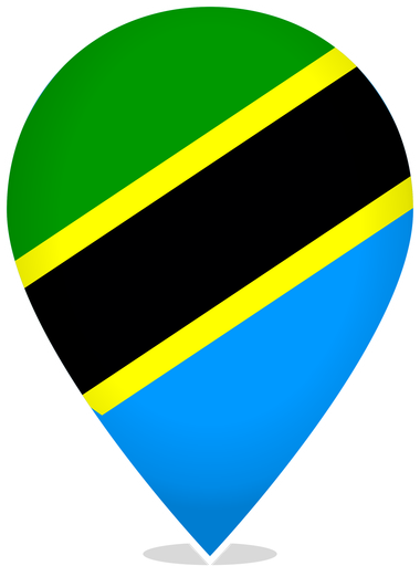 Tanzania Teardrop Pin