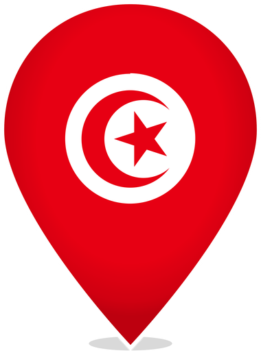 Tunisia Teardrop Pin