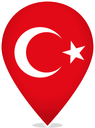 Turkey Teardrop Pin