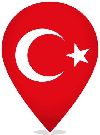 Turkey Teardrop Pin