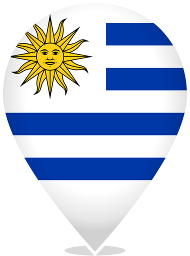 Uruguay Teardrop Pin