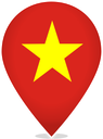 Vietnam Teardrop Pin