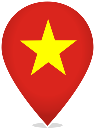 Vietnam Teardrop Pin