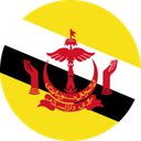 Brunei flag
