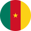 Cameroon flag