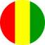 Guinea Flat Circle
