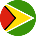 Guyana flag