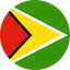 Guyana Flat Circle
