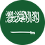 Saudi Arabia Flat Circle