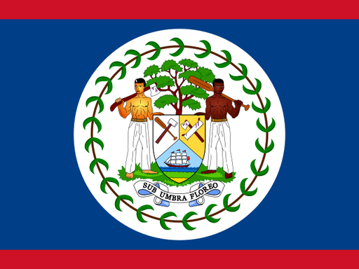 Belize flag printable PDF