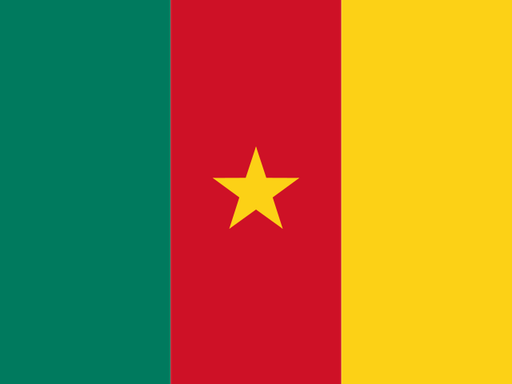 Cameroon flag printable PDF