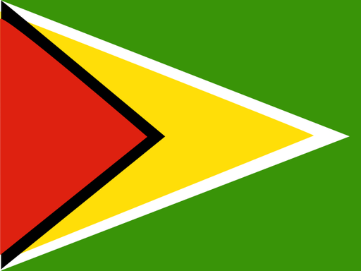 Guyana flag printable PDF