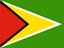 Guyana Flat Rectangle