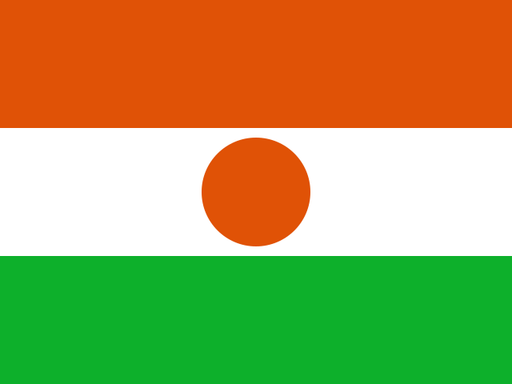 Niger flag printable PDF