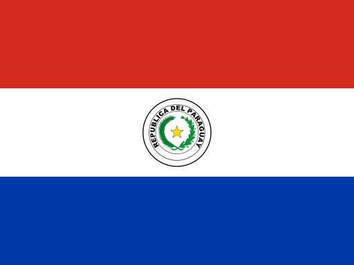 Paraguay flag printable PDF