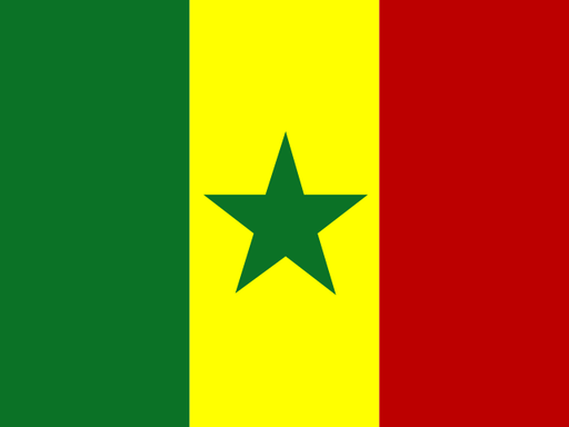 Senegal flag printable PDF