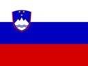 Slovenia Flat Rectangle