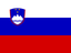 Slovenia Flat Rectangle