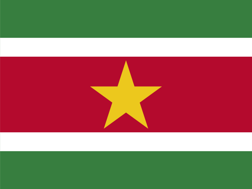 Suriname flag printable PDF