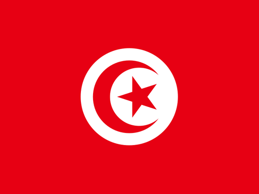 Tunisia flag printable PDF