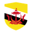 Brunei Flat Shield